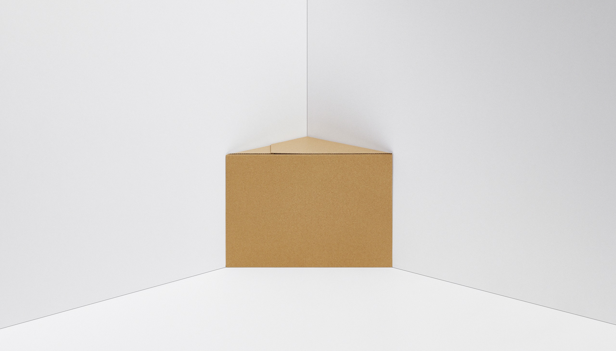 運ぶ負担を減らす1/2段ボールのイメージ画像06